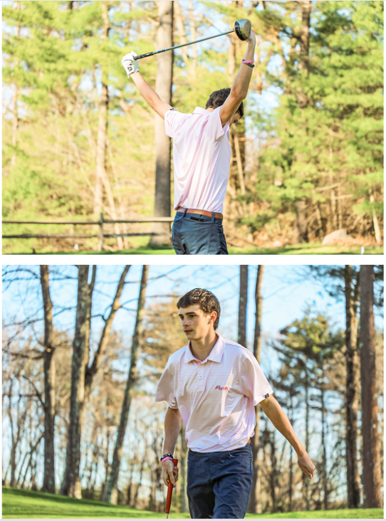 Pink Stripe Polo